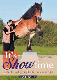 It\'s Showtime (ENGLISH)