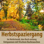 Herbstspaziergang: Phantasiereise Herbstwald, den Bach entlang - Entspannen mit frischem Bachrauschen