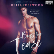 Boys That Tease - A Bully Romance - Lords of Wildwood, Book 1 (Unabridged)