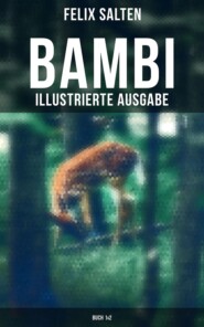 BAMBI (Illustrierte Ausgabe: Buch 1&2)