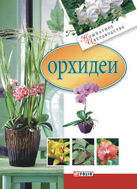 Музей орхидей