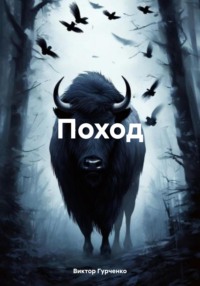 71019184 [Виктор Гурченко] Поход