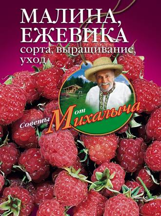 Печи и камины своими руками - Николай Звонарев - Google Books