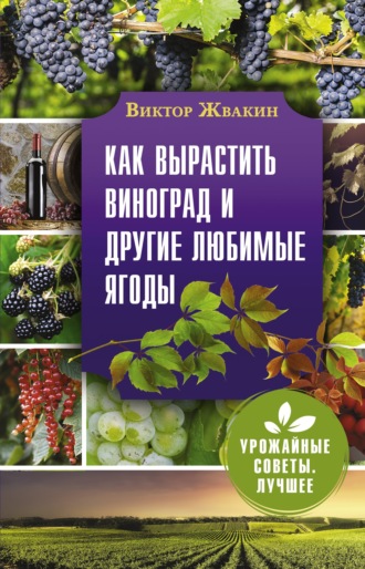Читать онлайн «Как вырастить виноград и другие любимые ягоды», ВикторЖвакин – Литрес