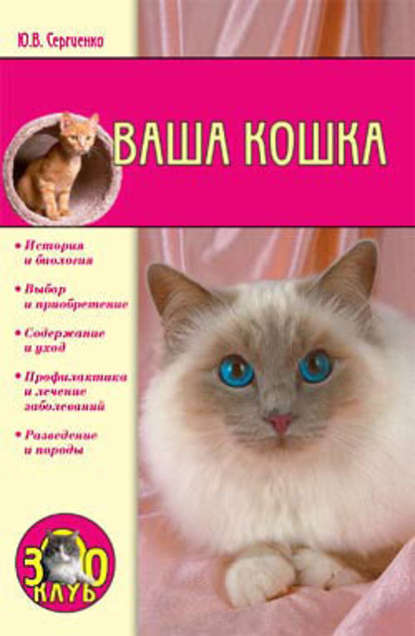 Юлия Сергеенко — Ваша кошка