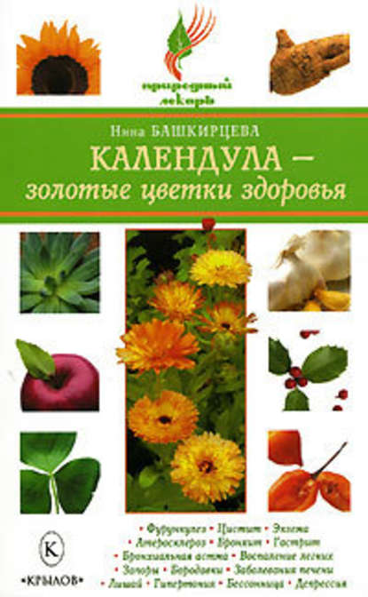 Календула - золотые цветки здоровья - Нина Башкирцева
