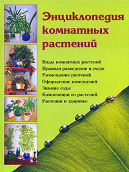 Наталья Брониславовна Шешко - Энциклопедия комнатных растений
