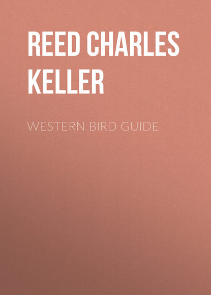 Western Bird Guide (Reed Charles Keller). 