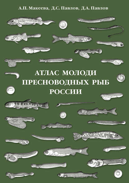 Атлас молоди пресноводных рыб России (Д. С. Павлов). 2011 - Скачать | Читать книгу онлайн