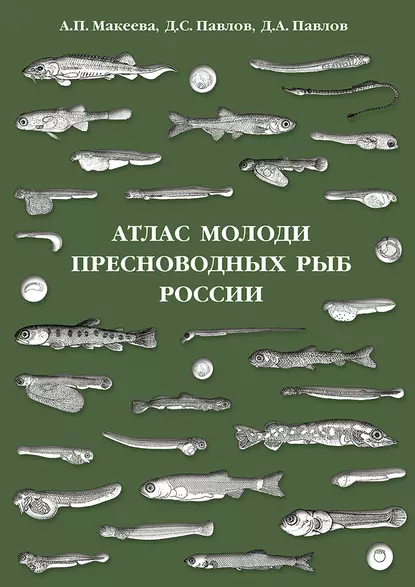 Обложка книги Атлас молоди пресноводных рыб России, Д. С. Павлов