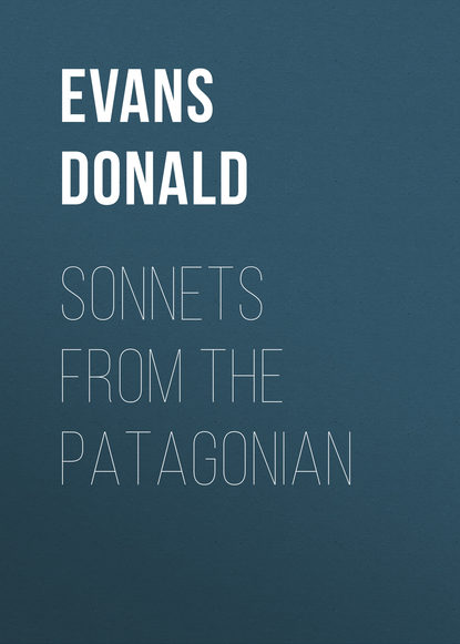 Evans Donald — Sonnets from the Patagonian