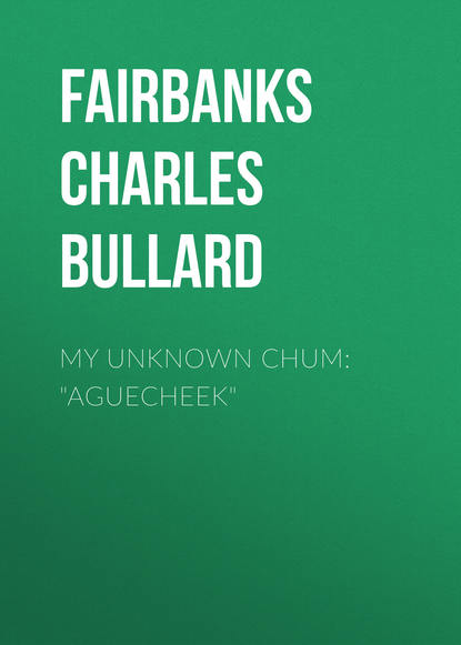 Fairbanks Charles Bullard — My Unknown Chum: "Aguecheek"