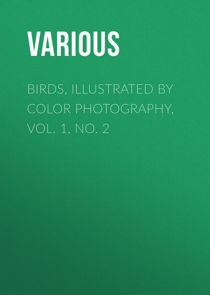 Birds, Illustrated by Color Photography, Vol. 1, No. 2 - Various