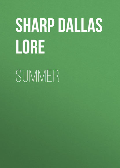 Summer (Sharp Dallas Lore). 