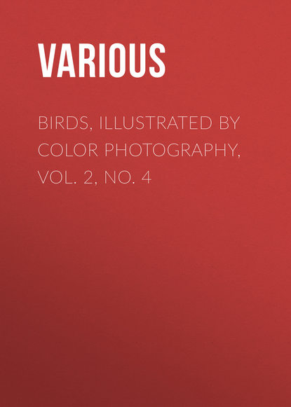 Birds, Illustrated by Color Photography, Vol. 2, No. 4 - Various