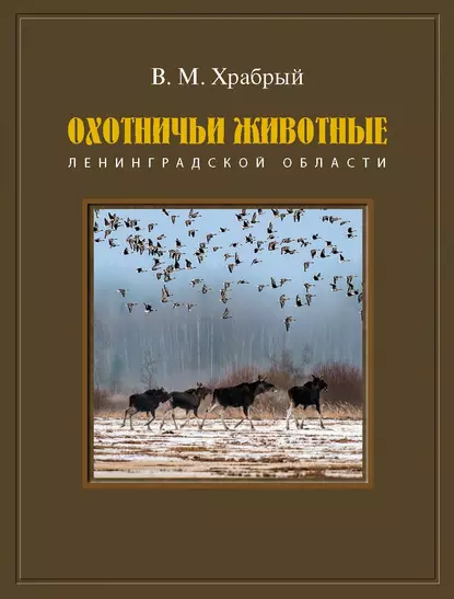 Обложка книги Охотничьи животные Ленинградской области, В. М. Храбрый