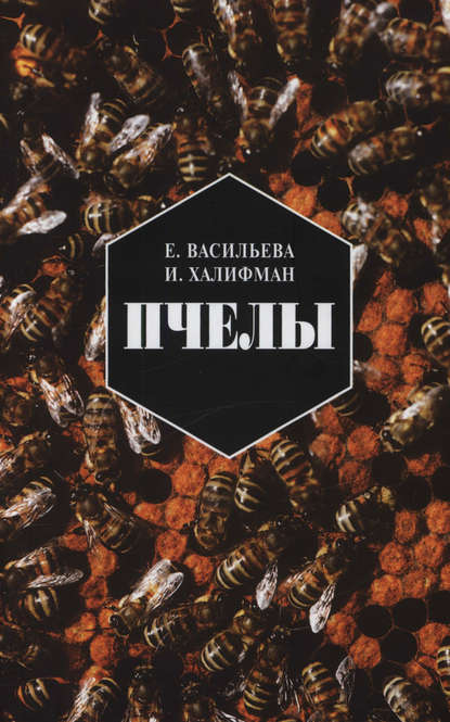 Е. Н. Васильева - Пчелы. Повесть о биологии пчелиной семьи и победах науки о пчелах