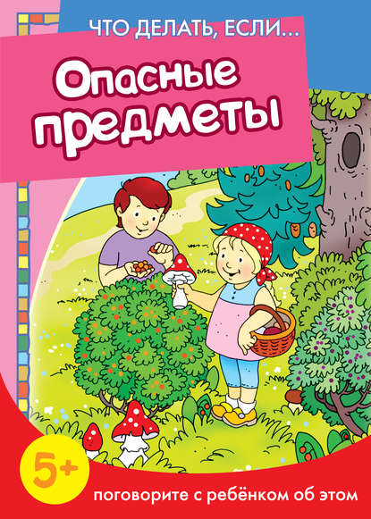 Опасные предметы. Поговорите с ребенком об этом - Н. Н. Евдокимова