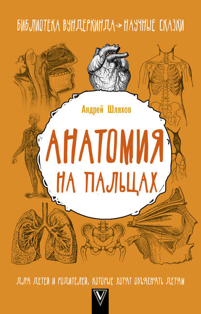Андрей Шляхов — Анатомия на пальцах. Для детей и родителей, которые хотят объяснять детям