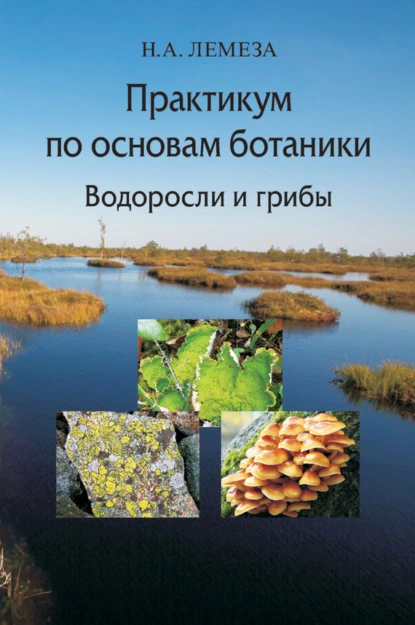 Обложка книги Практикум по основам ботаники. Водоросли и грибы, Н. А. Лемеза