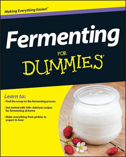 Fermenting For Dummies - Amelia  Jeanroy