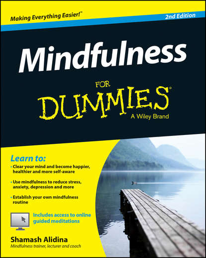 Shamash Alidina — Mindfulness For Dummies