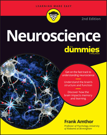 Frank Amthor — Neuroscience For Dummies