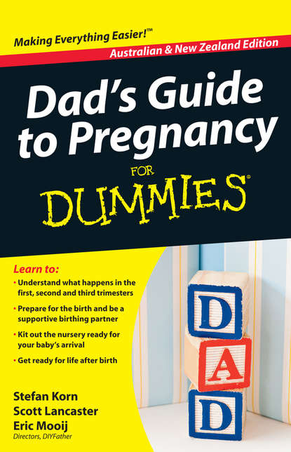 Stefan  Korn - Dad's Guide to Pregnancy For Dummies