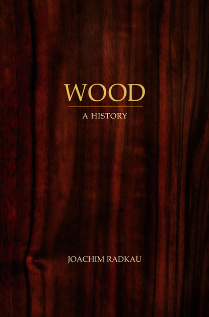 Joachim  Radkau - Wood. A History