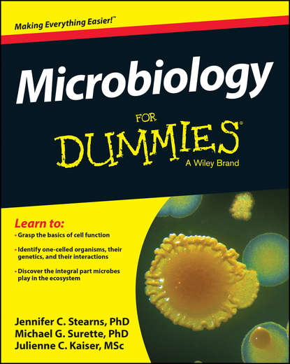 Jennifer Stearns — Microbiology For Dummies