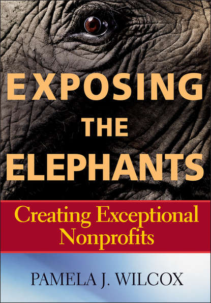 Pamela Wilcox J. — Exposing the Elephants. Creating Exceptional Nonprofits