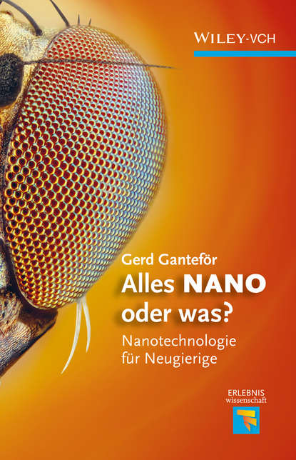Gerd Ganteför - Alles NANO - oder was? Nanotechnologie für Neugierige