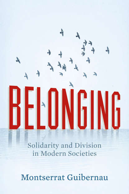 Belonging. Solidarity and Division in Modern Societies - Montserrat  Guibernau