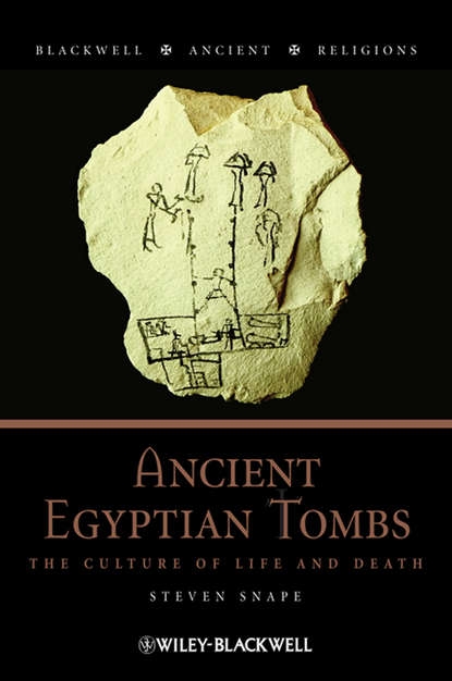 Ancient Egyptian Tombs. The Culture of Life and Death - Steven  Snape