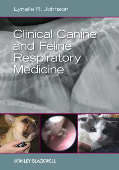 Обложка книги Clinical Canine and Feline Respiratory Medicine, Lynelle R. Johnson