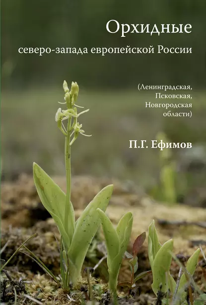 Обложка книги Орхидные северо-запада европейской России, Петр Ефимов