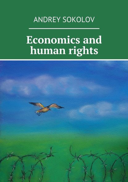 Андрей Соколов — Economics and human rights
