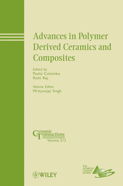 Группа авторов - Advances in Polymer Derived Ceramics and Composites