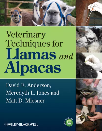 Обложка книги Veterinary Techniques for Llamas and Alpacas, David E. Anderson