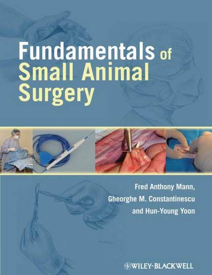 Группа авторов - Fundamentals of Small Animal Surgery