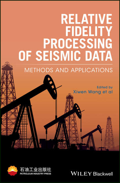 Группа авторов - Relative Fidelity Processing of Seismic Data