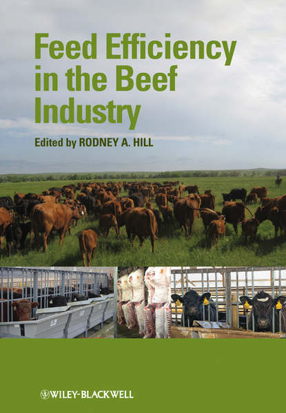 Группа авторов - Feed Efficiency in the Beef Industry