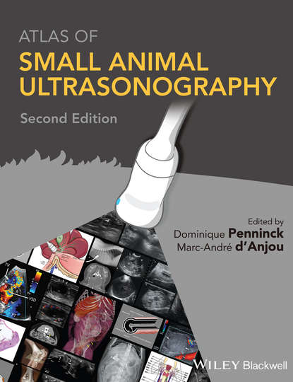 Группа авторов - Atlas of Small Animal Ultrasonography