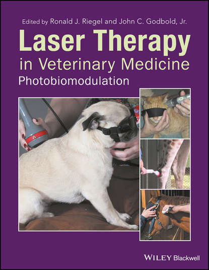 Группа авторов - Laser Therapy in Veterinary Medicine