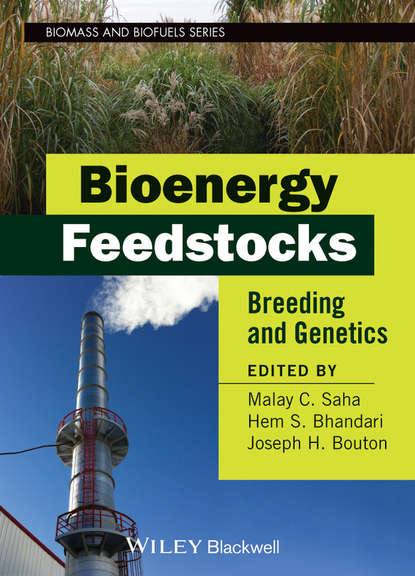 Bioenergy Feedstocks - Группа авторов