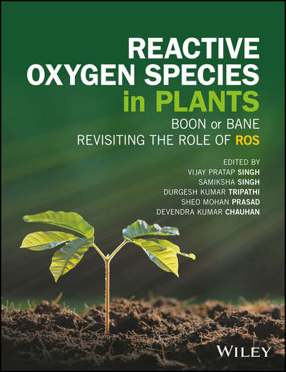Reactive Oxygen Species in Plants - Группа авторов