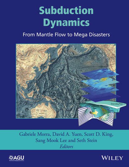 Группа авторов — Subduction Dynamics