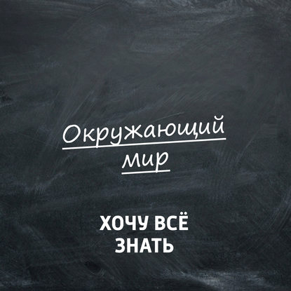 

Мир глазами лягушки