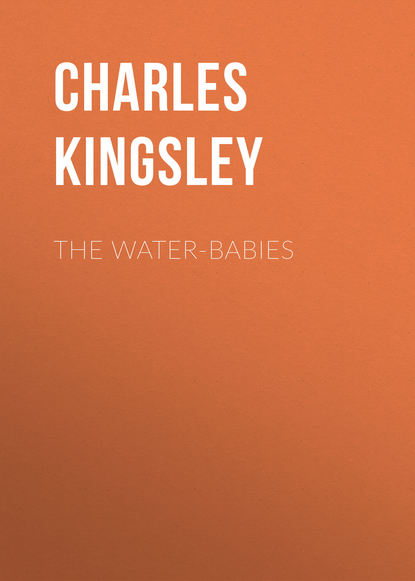 The Water-Babies - Charles Kingsley