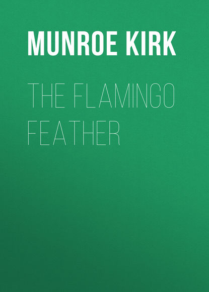 The Flamingo Feather - Munroe Kirk